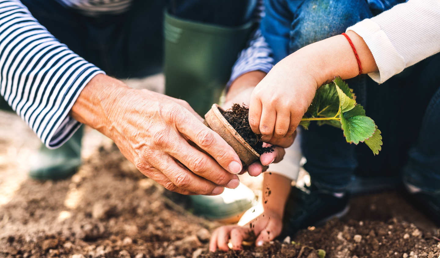 dm {ZAJEDNO} za bolje sutra 2025