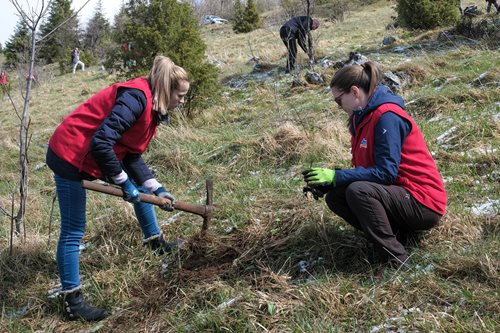 Društveno korisni rad dm zaposlenika